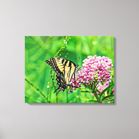 Oostelijke tijger Swallowtail Butterfly Canvas Afdruk (Voorkant)