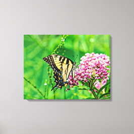 Oostelijke tijger Swallowtail Butterfly Canvas Afdruk