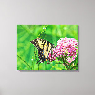 Oostelijke tijger Swallowtail Butterfly Canvas Afdruk