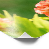 Oostelijke tijger Swallowtail Butterfly Foto Afdruk (Hoek)