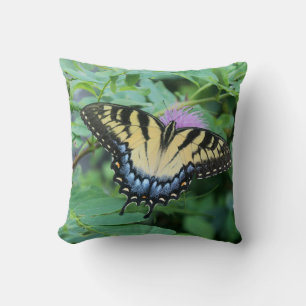 Oostelijke tijger Swallowtail Butterfly Kussen