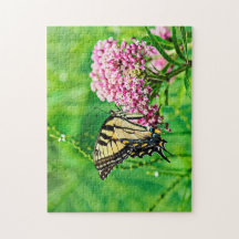 Oostelijke tijger Swallowtail Butterfly