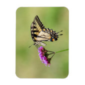 Oostelijke tijger Swallowtail Butterfly Magneet (Verticaal)