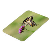 Oostelijke tijger Swallowtail Butterfly Magneet (Linkerzijde)