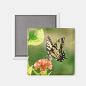 Oostelijke tijger Swallowtail Butterfly Magneet (Voorkant / Achterkant)