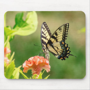 Oostelijke tijger Swallowtail Butterfly Muismat