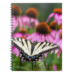 Oostelijke tijger Swallowtail Butterfly op Coneflo Notitieboek