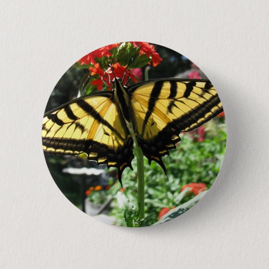 Oostelijke tijger Swallowtail Butterfly Pin Ronde Button 5,7 Cm (Voorkant)