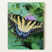 Oostelijke tijger Swallowtail Butterfly Planner (Achterkant)