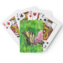 Oostelijke tijger Swallowtail Butterfly