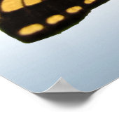 Oostelijke tijger Swallowtail Butterfly Poster (Hoek)