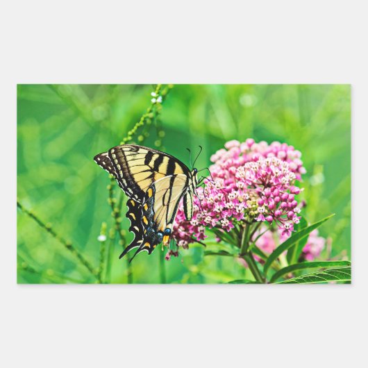 Oostelijke tijger Swallowtail Butterfly Rechthoekige Sticker (Voorkant)
