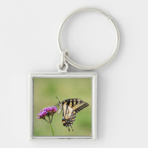 Oostelijke tijger Swallowtail Butterfly Sleutelhanger
