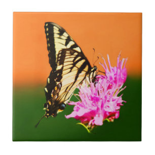 Oostelijke tijger Swallowtail Butterfly Tegeltje