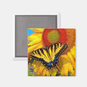 Oostelijke Tijger Swallowtail, magneet (Voorkant / Achterkant)