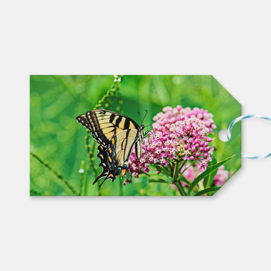 Oostelijke tijgermoerstaafje cadeaulabel (Voorkant (Horizontaal))