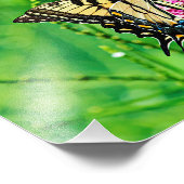 Oostelijke tijgermoerstaafje foto afdruk (Hoek)