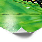 Oostelijke tijgermoerstaafje foto afdruk (Hoek)