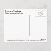 Oostelijke Towee Briefkaart (Achterkant)