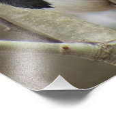 Oostelijke Towee Foto Afdruk (Hoek)