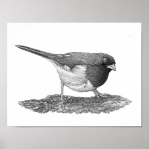 Oostelijke Towee Poster