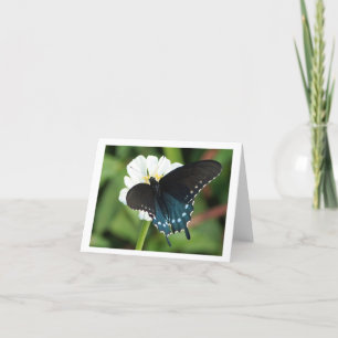 Oostelijke Vlinder Swallowtail Feestdagen Kaart