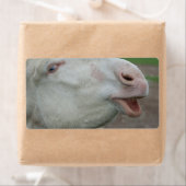 Oostenrijk-Hongaarse Witte Donkey Etiket (Insitu)