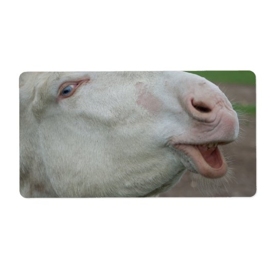 Oostenrijk-Hongaarse Witte Donkey Etiket (Voorkant)