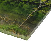 Oostenrijk Lake Tranquil Uitzicht Point Snijplank (Hoek)