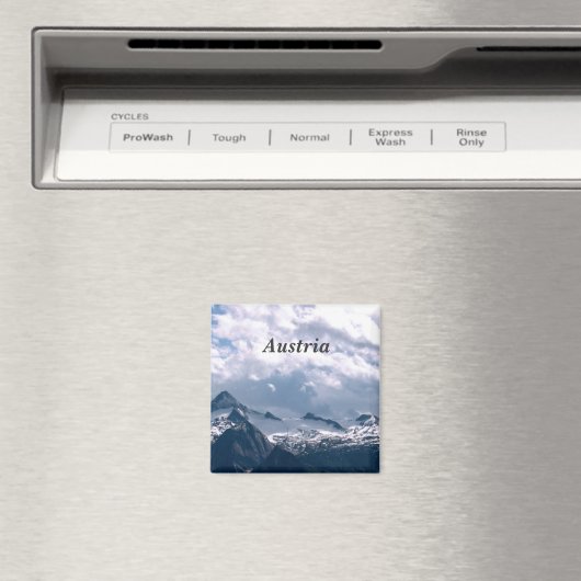 Oostenrijk Magneet (Insitu (Vaatwasser))