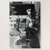  Oostenrijk: Wenen Dreimaderlhaus Fiaker Legpuzzel (Verticaal)