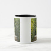 Oostenrijk, Wenen. Maria Theresa's barok 2 Mok (Midden)