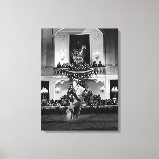 Oostenrijk Wenen Spaans Courbette Canvas Afdruk (Voorkant)