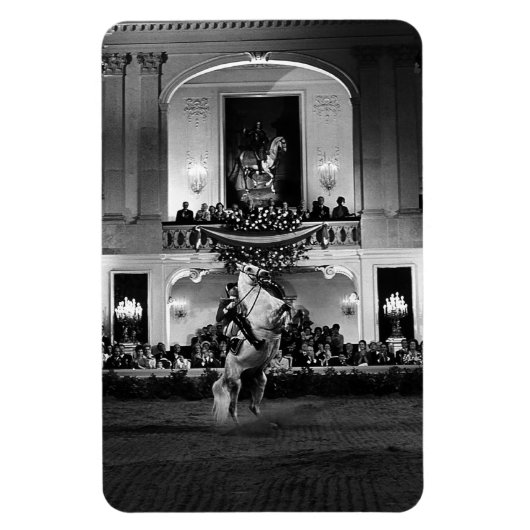 Oostenrijk Wenen Spaans Courbette Magneet (Verticaal)