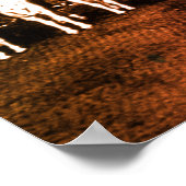 -Oostenrijk Wenen Spaans Rijschool Poster (Hoek)