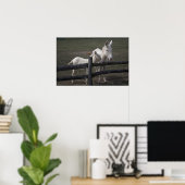 Oostenrijks-Hongaarse Witte Ezel Poster (Thuiskantoor)