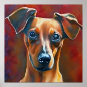 Oostenrijkse Pinscher - Dog Portrait Poster (Voorkant)