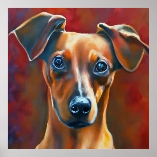 Oostenrijkse Pinscher - Dog Portrait Poster (Voorkant)