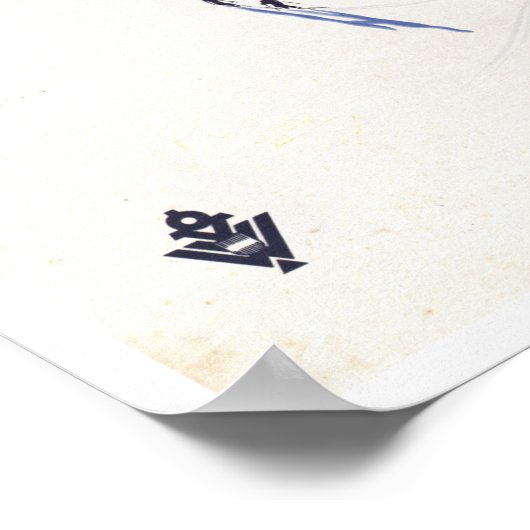 -Oostenrijkse skireis Poster (Hoek)