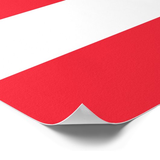 Oostenrijkse vlag poster (Hoek)