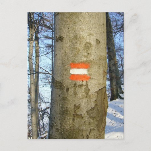 oostenrijkse vlagboom briefkaart (Voorkant)
