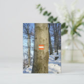 oostenrijkse vlagboom briefkaart (Staand voorkant)