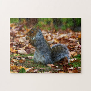 Oostergrijze eekhoorn II Legpuzzel