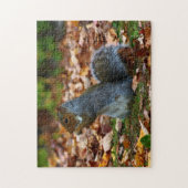 Oostergrijze eekhoorn II Legpuzzel (Verticaal)