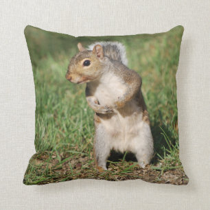 Oostergrijze eekhoornkussen kussen