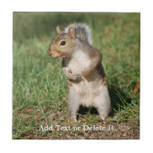 Oostergrijze eekhoorntegel tegeltje (Voorkant)