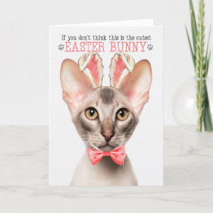 Oosters Kat Schattigee Paashaas Kat Puns Feestdagen Kaart