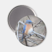 Oosterse blauwvogel-magneet magneet (Voorkant / Achterkant)