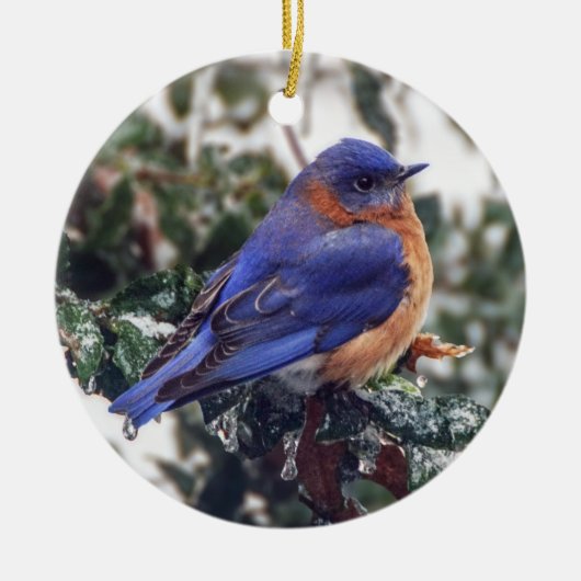 Oosterse Blauwvogel op Holly Kerstversiering Keramisch Ornament (Voorkant)