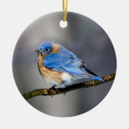 Oosterse Blauwvogel op Limb Kerstversiering Keramisch Ornament